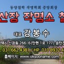 탄현1로 Daum카페