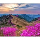 바로유한의원 이미지