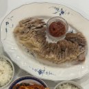 역전자동차병원 | [임신기록] - 5주차, 6주차, 7주차, 8주차(임테기 역전, 임신확인서 발급, 심장소리, 부모님 임밍아웃...