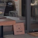 BUSAN : 부산 수영역 감성 카페 | &#39;샬로우 커피&#39; 후기 | 애견동반 가능