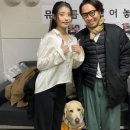워킹펫 이미지