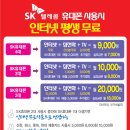 (SK브로드밴드)인터넷+집전화+스마트형TV ***-****-**** 이미지