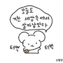 혁이네양꼬치 이미지
