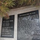자연만세 이미지