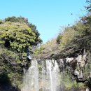 천제연폭포 이미지