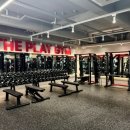 더 플레이 이미지