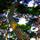 사진교실 이미지