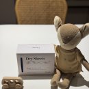 시트모아 | 향기좋은 온스테이 건조기시트 후기 🌿 에코서트 성분·99.9% 탈취력 프리미엄 드라이시트 추천