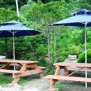 설천면011 Daum카페