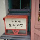 보헤미안박이추커피 이미지