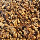 장자골 농장 이미지