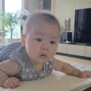 서하오피스