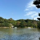 [하이인] 커스텀 비즈꽃 부케키링 만들기/작업 후기