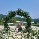 카페지새울 | 아산 카페 지새울 후기 | 아이와 가기 좋은 도고면 감성카페