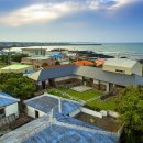 하도하도1929 이미지