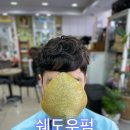 헤어두비취 이미지