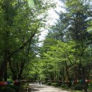 사명대사공원건강문화원 이미지