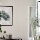 몽스데이 이미지