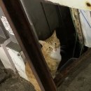 윤경약국 이미지