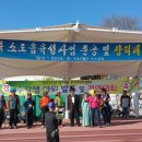 양지동 주민자치센터 이미지