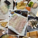 조리사횟집 | 창원 가로수길 조리사횟집ㅣ저녁회정식 코스 후기