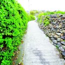감동부인경로당 | 자산어보 영화 정약전의 유배지 아름다운 섬 우이도
