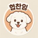 식물성 리포좀 멜라토닌 닥터그릿 멜라밋 후기