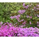 미사경정공원 이미지