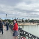 최경환성지 앞 공중화장실 | [신행#16] 스페인 세비야 대성당 내부입장(오디오가이드 비추천) / 세비야맛집