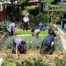 경남2단지경로당 이미지