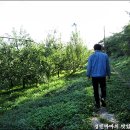 옥골농장 이미지