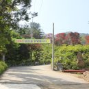 (주)산야초로 이미지