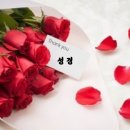 법전카페 이미지