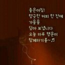 일요일 이미지