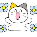 헤브론커피 이미지
