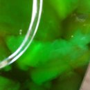 갈촌농장 이미지