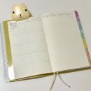 2193 | 놀티 페이젬 2193 라임그린 2026 다이어리 구입 후기 리뷰