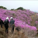 효덕IC아래 | 화순 세량지 금산 보곡산골 강화 고려산