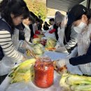 은하수별빛마을 이미지