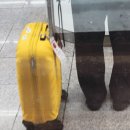 그 다음 | 진에어 회항 그 다음날 탑승 후기