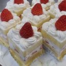 딸기미용실 이미지