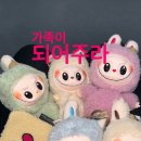뽑신뽑왕 네이버블로그