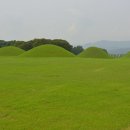 경주 대릉원 배롱나무(백일홍) 이미지