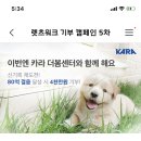 걸음수로 유기동물 기부에 참여해주세요(아모레퍼시픽 뷰티포인트 어플) 이미지