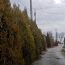 나린농장 이미지