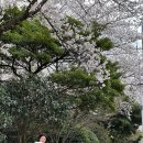 브라이트 | 제주도 웨딩스냅 『브라이트데이』 후기 ✨🤵👰💐