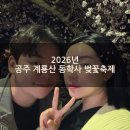 아찔한 떡닭 일원점 | [공주 계룡산 동학사 벚꽃축제] 2026년 4월 2일 실시간 개화상황 주차꿀팁 맛집 도덕봉가든 먹거리정보