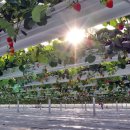 (주)서진개발 이미지