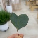 삼정로L 이미지