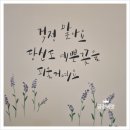 하삼동커피사파 이미지